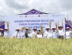 GPIPS Jadi Strategi Baru Jaga Stabilitas Harga dan Ketahanan Pangan Nasional