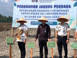 Wakil Bupati Asahan Hadiri Penanaman Jagung Perdana Program Ketahanan Pangan