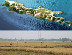 Ditjen Tata Ruang Koordinasikan Pengendalian Alih Fungsi Lahan Sawah dan Mitigasi Bencana di Pulau Jawa