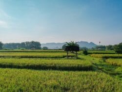 Kementerian ATR/BPN Pastikan Tata Ruang Menjadi Kunci Utama untuk Mendukung Program Prioritas Presiden Prabowo