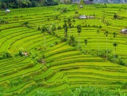 Ditjen Tata Ruang Perkuat Mekanisme Persetujuan Bersama Penetapan LP2B