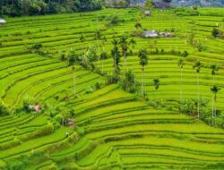 Ditjen Tata Ruang Perkuat Mekanisme Persetujuan Bersama Penetapan LP2B