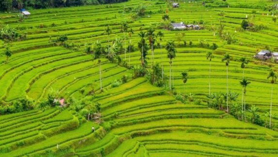 Hilirisasi Diperkuat untuk Bangun Ketahanan Ekonomi dan Serap Tenaga Kerja