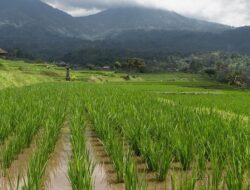 Tingkatkan Kompetensi Aparatur:Webinar Integrasi KP2B dan LP2B dalam Rencana Tata Ruang Digelar