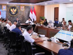 Perkuat Pengendalian Alih Fungsi Lahan Sawah, Wamen Ossy: Targetkan Peta LSD Baru di 17 Provinsi