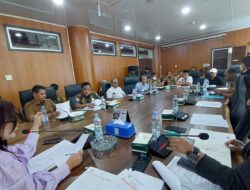 Saat RDP, Dame Duma Sari Hutagalung Minta Pihak Royal Sumatera Segera Serahkan Aset PSU ke Pemko