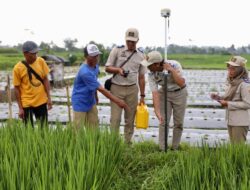 Mau Ikut PTSL? Ketahui Biaya Persiapannya yang Berlaku di Masing-Masing Wilayah