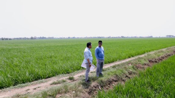 Hadapi Kemarau, Sinergi Lintas Sektor Amankan Ketahanan Pangan Nasional