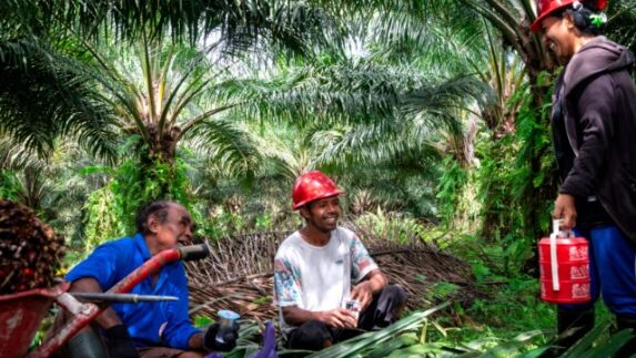 Pemerintah Perkuat Hilirisasi Perikanan untuk Meningkatkan Kesejahteraan Nelayan Papua