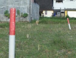 Simak Tips untuk Menjaga Tanah agar Tidak Diserobot Orang Lain