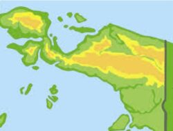 Sinergi Nasional Perkuat PSN untuk Kesejahteraan Papua
