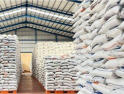Cadangan Beras Menguat, Ancaman Global dan El Nino Terkendali