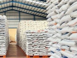 Cadangan Beras Menguat, Ancaman Global dan El Nino Terkendali