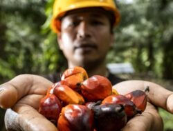 PASPI Apresiasi Komitmen BPDP di Riset Kelapa Sawit
