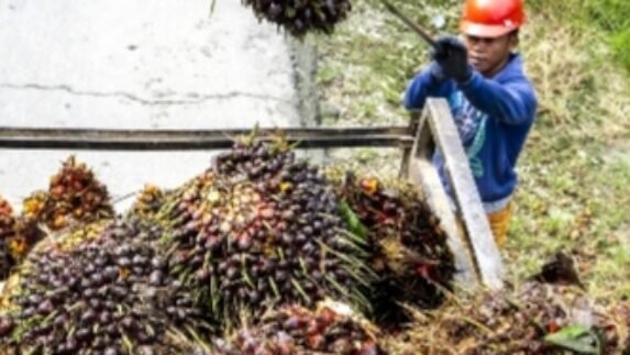 HUT RI ke-81, Pemerintah Perkuat B50 untuk Ketahanan Energi Indonesia