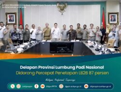 Delapan Provinsi Lumbung Padi Nasional Didorong Percepat Penetapan LP2B 87 Persen