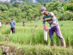 Pasang Patok, Cara Sederhana Cegah Sengketa Tanah dengan Tetangga