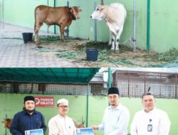Dirut Perumda Tirtanadi Serahkan 13 Ekor Hewan Sapi Kurban
