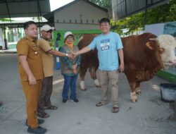 Pemkab Asahan Gelar Pemeriksaan Kesehatan Hewan Qurban