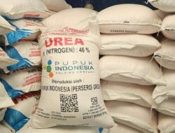 Global Bergejolak, Pupuk Subsidi Indonesia Tetap Terjaga