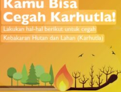 Pemerintah Perkuat Kesiapsiagaan Karhutla, Pencegahan Dini Diutamakan