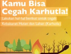 Pemerintah Perkuat Kesiapsiagaan Karhutla, Pencegahan Dini Diutamakan