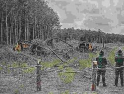 Penyerahan Dana Hasil Penertiban Hutan Jadi Tonggak Tata Kelola SDA Nasional