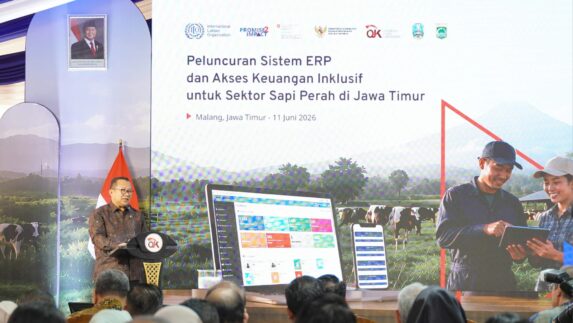 OJK dan ILO Luncurkan Enterprise Resource Planning, Tingkatkan Akses Pembiayaan Peternak Sapi Perah