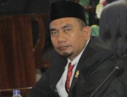 Refleksi HUT ke-436 Kota Medan, Zulham Efendi Sampaikan Sejumlah Catatan Penting