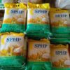 Bansos Beras hingga September Bagian dari Perlindungan Sosial Semester II