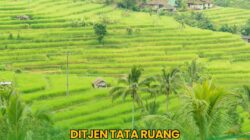 Ketahanan Pangan Diperkuat Lewat Pompanisasi dan Kerja Sama Antardaerah