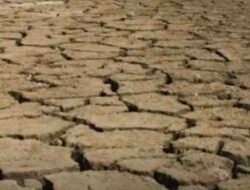 Mitigasi El Nino Dipercepat, Pemerintah Fokus Cegah Kekeringan dan Gangguan Pangan