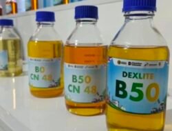 Implementasi B50 Diproyeksikan Serap 2,1 Juta Tenaga Kerja