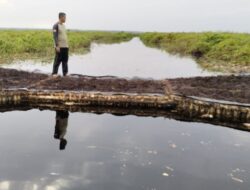 Super El Nino Diwaspadai, Pemerintah Pusat dan Daerah Perkuat Sinergi