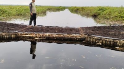 Super El Nino Diwaspadai, Pemerintah Pusat dan Daerah Perkuat Sinergi