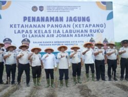 Pemkab Asahan Dukung Penanaman Jagung Ketahanan Pangan Lapas Kelas IIA Labuhan Ruku Asahan