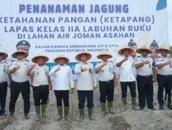 Pemkab Asahan Dukung Penanaman Jagung Ketahanan Pangan Lapas Kelas IIA Labuhan Ruku Asahan