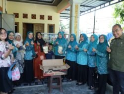 Ketua TP PKK Kabupaten Asahan Serahkan Bantuan kepada Poklak Kelurahan Sentang